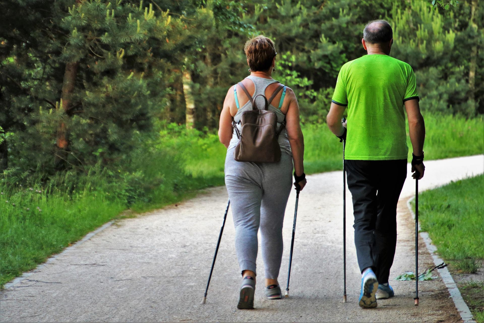 A couple nordic walking